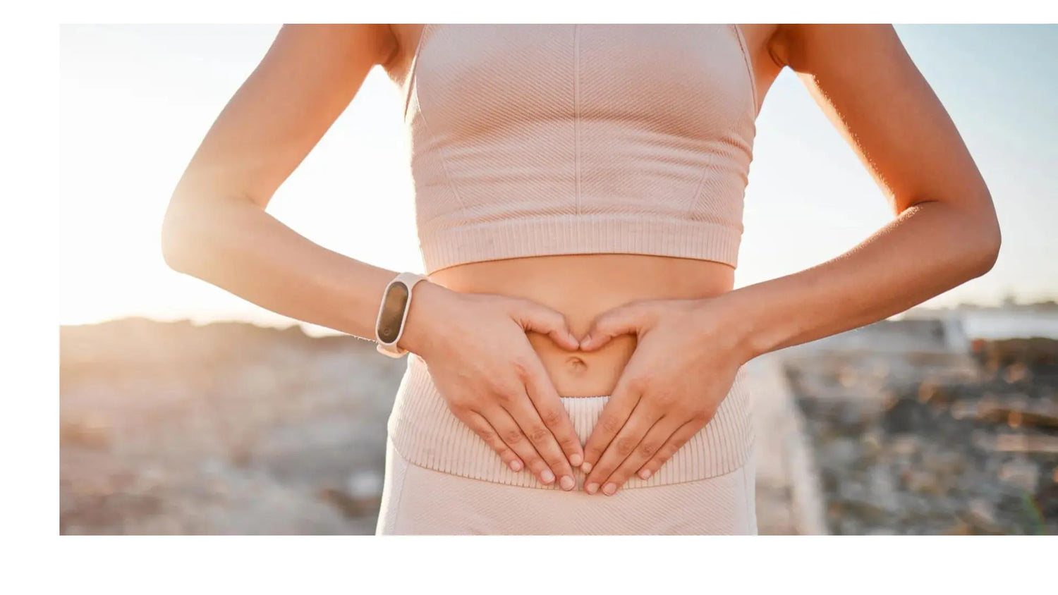 Gut Repair Supplements
