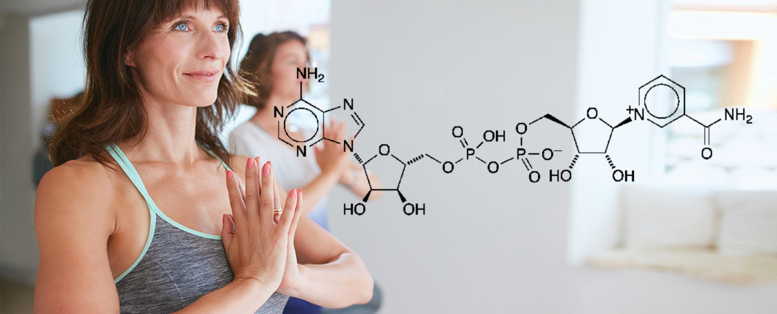 The elusive elixir of youth NAD