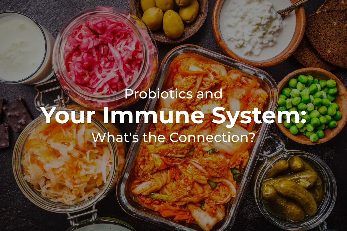 Probiotics and Your Immune System: What's the Connection?