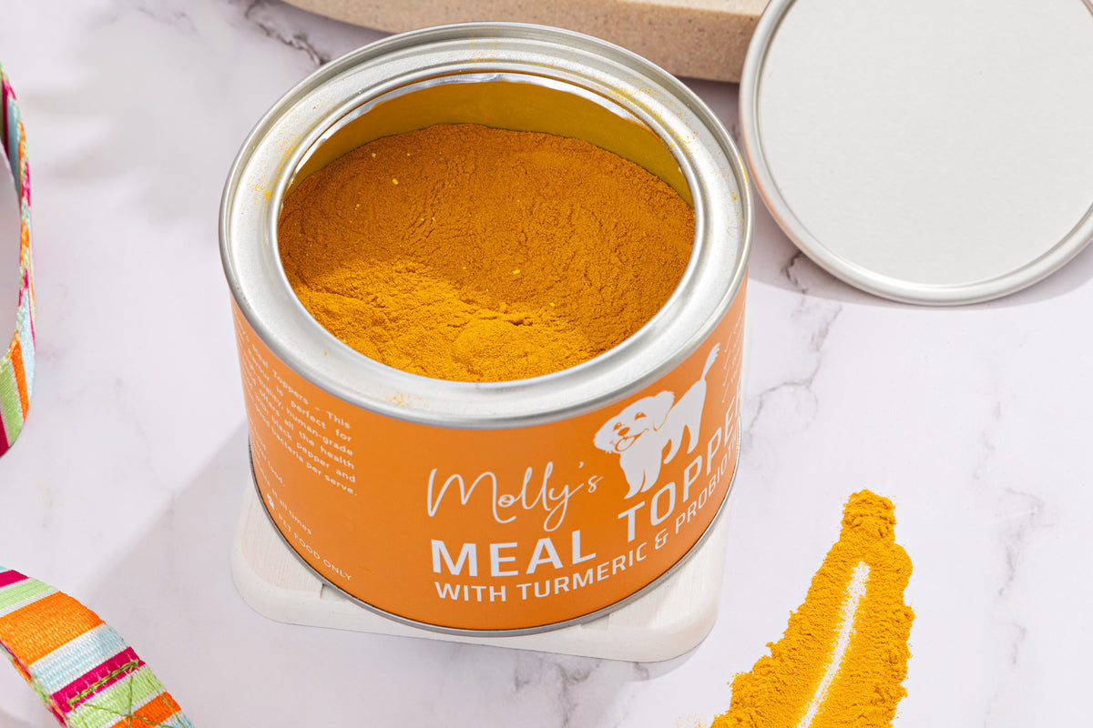 Dog Meal Topper - Turmeric with Probiotics (Vegan)